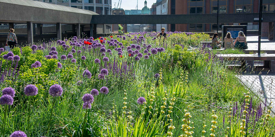 Beech Gardens and The High Walk, Barbican Estate - Nigel Dunnett and the Landscape Agency