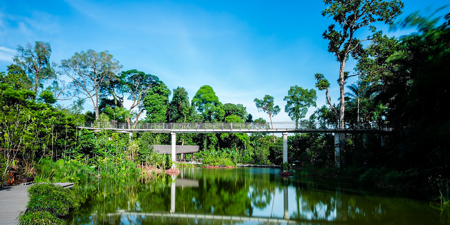Learning Forest, Singapore Botanic Gardens - Stephen Caffyn Landscape Design
