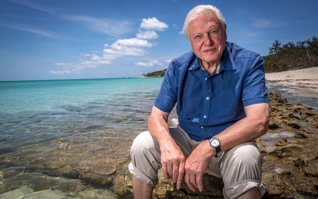 LI To Honour Sir David Attenborough With The Landscape Institute Medal   Sir David Attenborough Great Barrier Reef Large 1024x640 