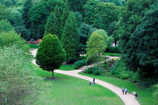 New research proves open spaces are good for the brain Open spaces such as Ouseburn Parks, Newcastle-upon-Tyne, recently restored by Southern Green, promote healthy brain activity.
